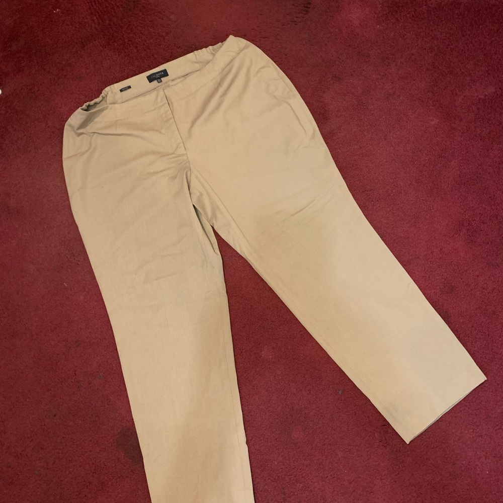Women’s dress pants. Tan color. Size 18.